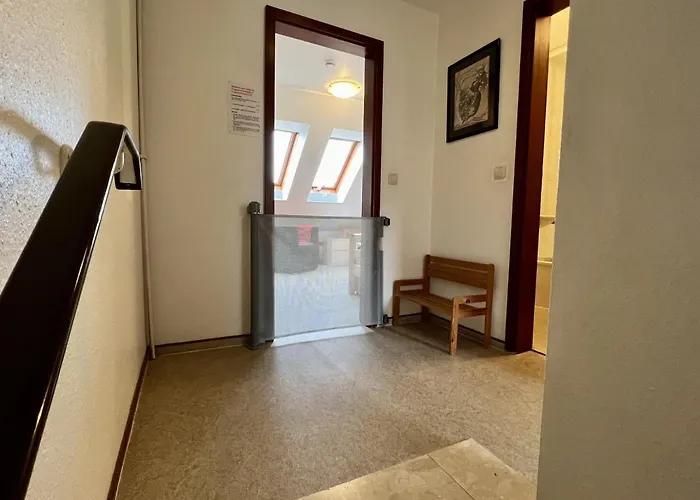 - Kohout Casa de Férias