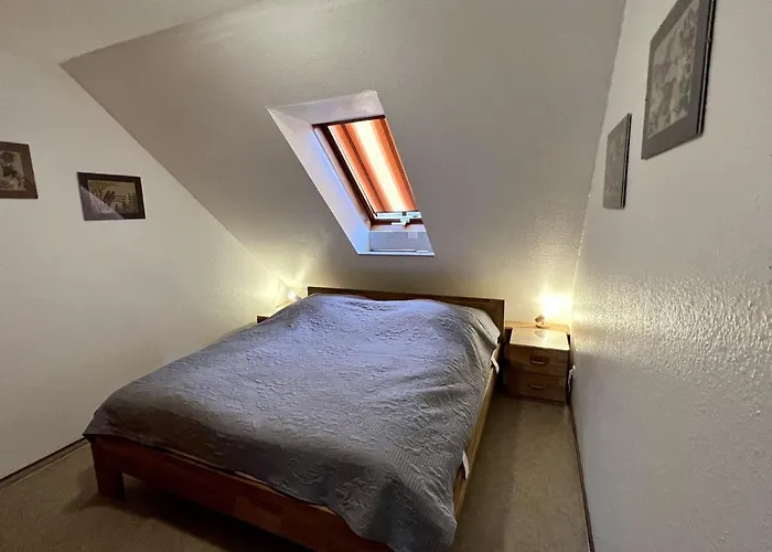 - Kohout Casa de Férias *